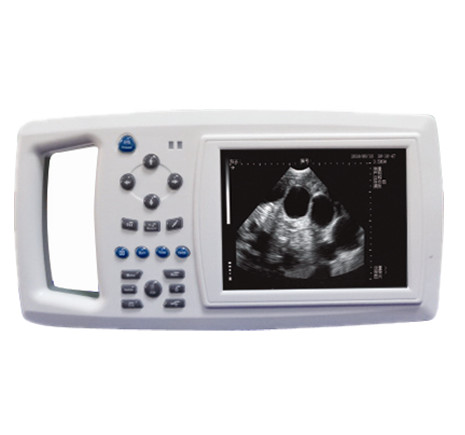 牛用b超機