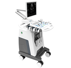 獸用b超機-彩色多普勒動寵物超聲診斷