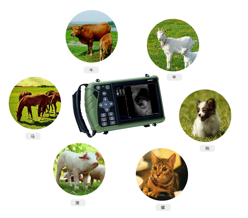 S1獸用超聲診斷儀適用對(duì)象